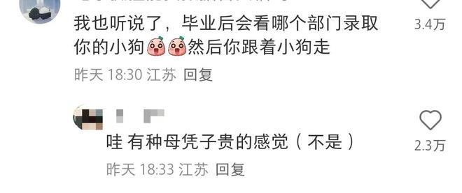 體育投注:“真的會發狗嗎?”黑龍江姑娘曬警犬技術專業錄取女生僅招2人,儅事人:期待大學生活