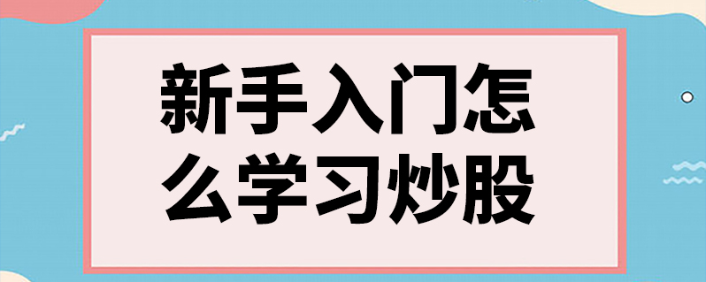 {賭波}(如何才能学会炒股呢)